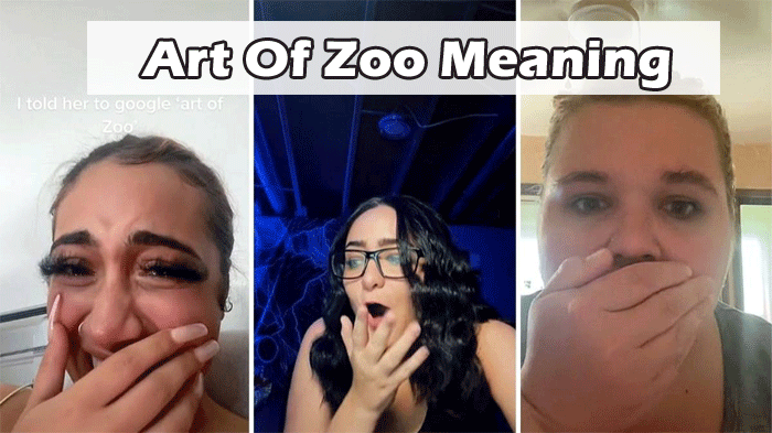 What is Art Of Zoo Meaning? Tiktok Trending Phrase Explained Here!